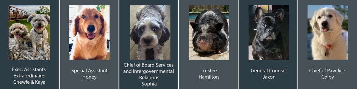 Executive Leadership's pets: Exec. Assistants Chewie and Kaya, Special Assistant Honey, Chief of Board Services and Intergovernmental Relations Sophia, Trustee Hamilton, General Counsel Jaxon, Chief of Police Colby