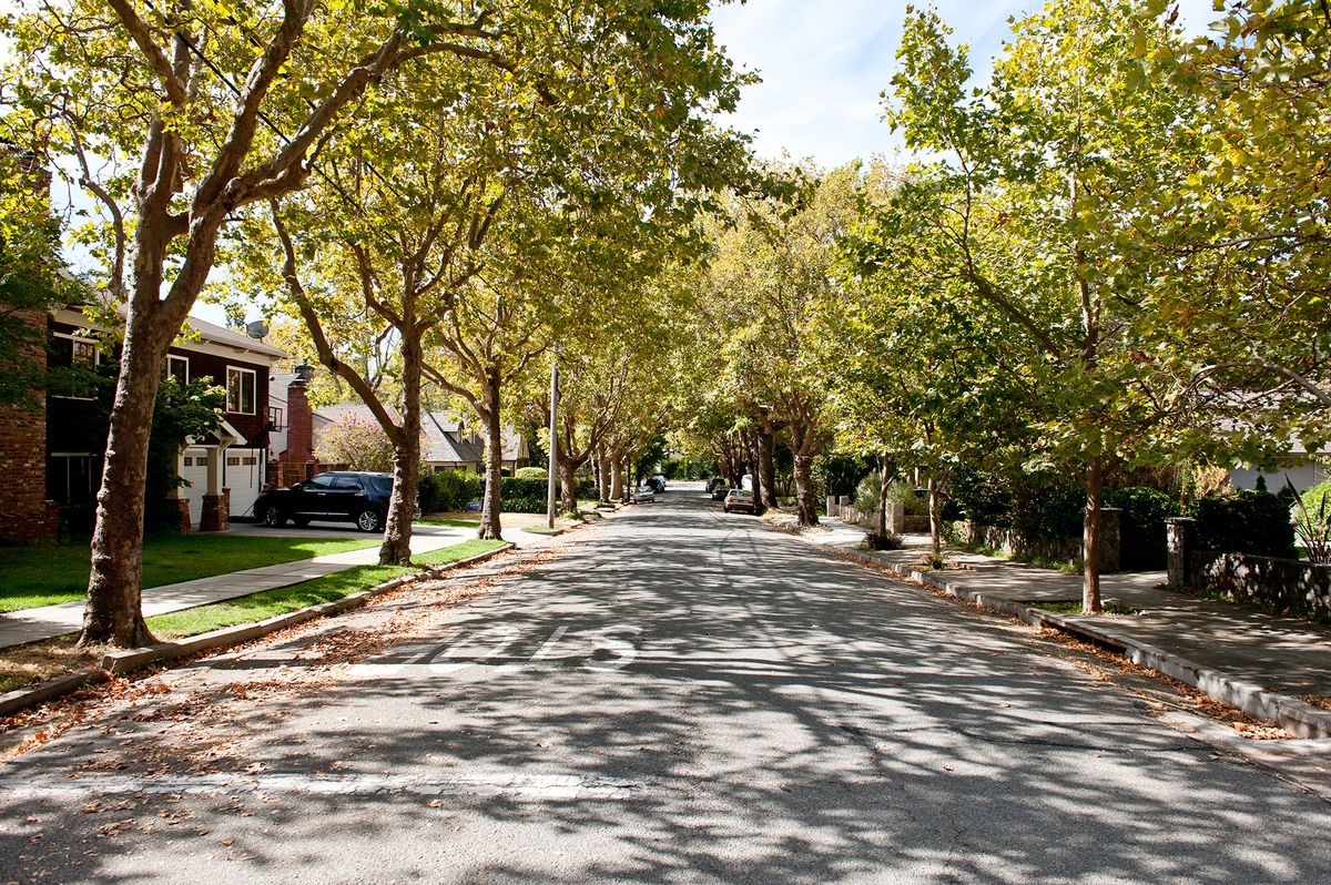 San Rafael residential street with trees