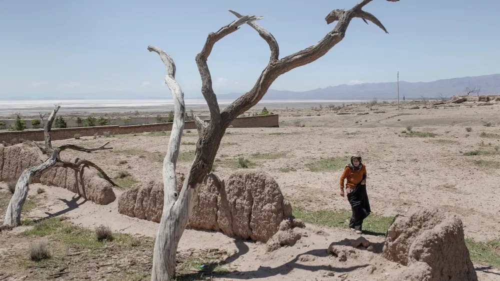 Dead almond trees in Iran, where over-extraction has burned through the country's water reserves.  Shutterstock