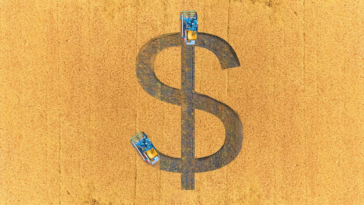 Illustration of tractors cutting a dollar sign shape into a field of wheat.