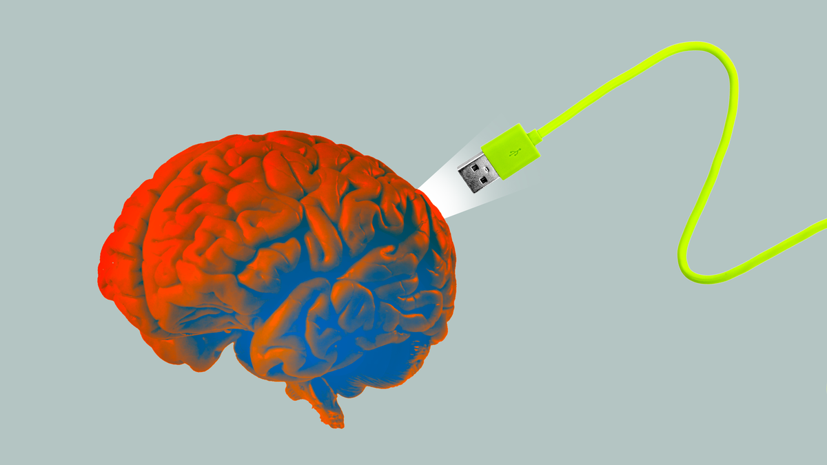 An illustration of a USB cord plugging into a human brain