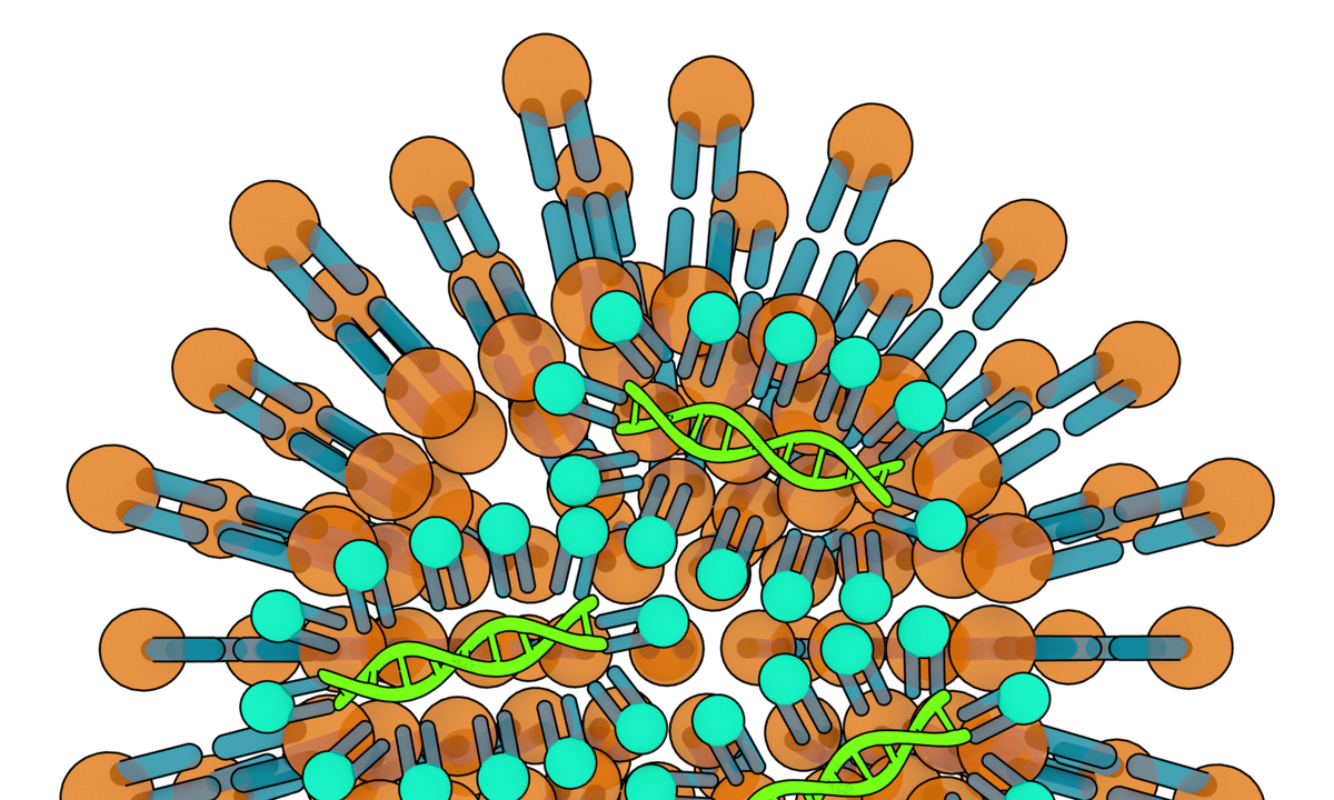 mRNA vaccine