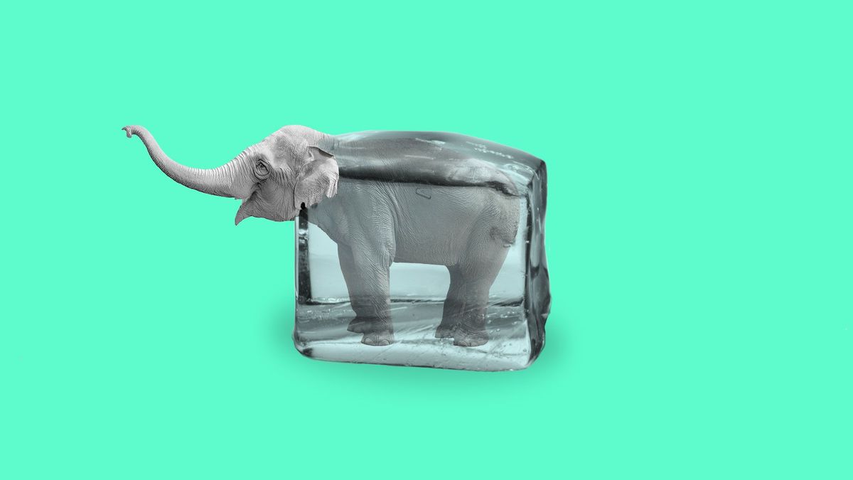 Illustration of an elephant thawing from an ice cube.