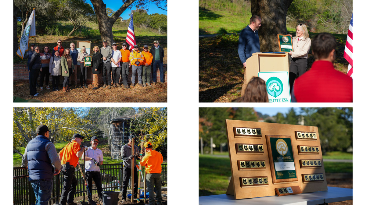 Four photos from arbor day