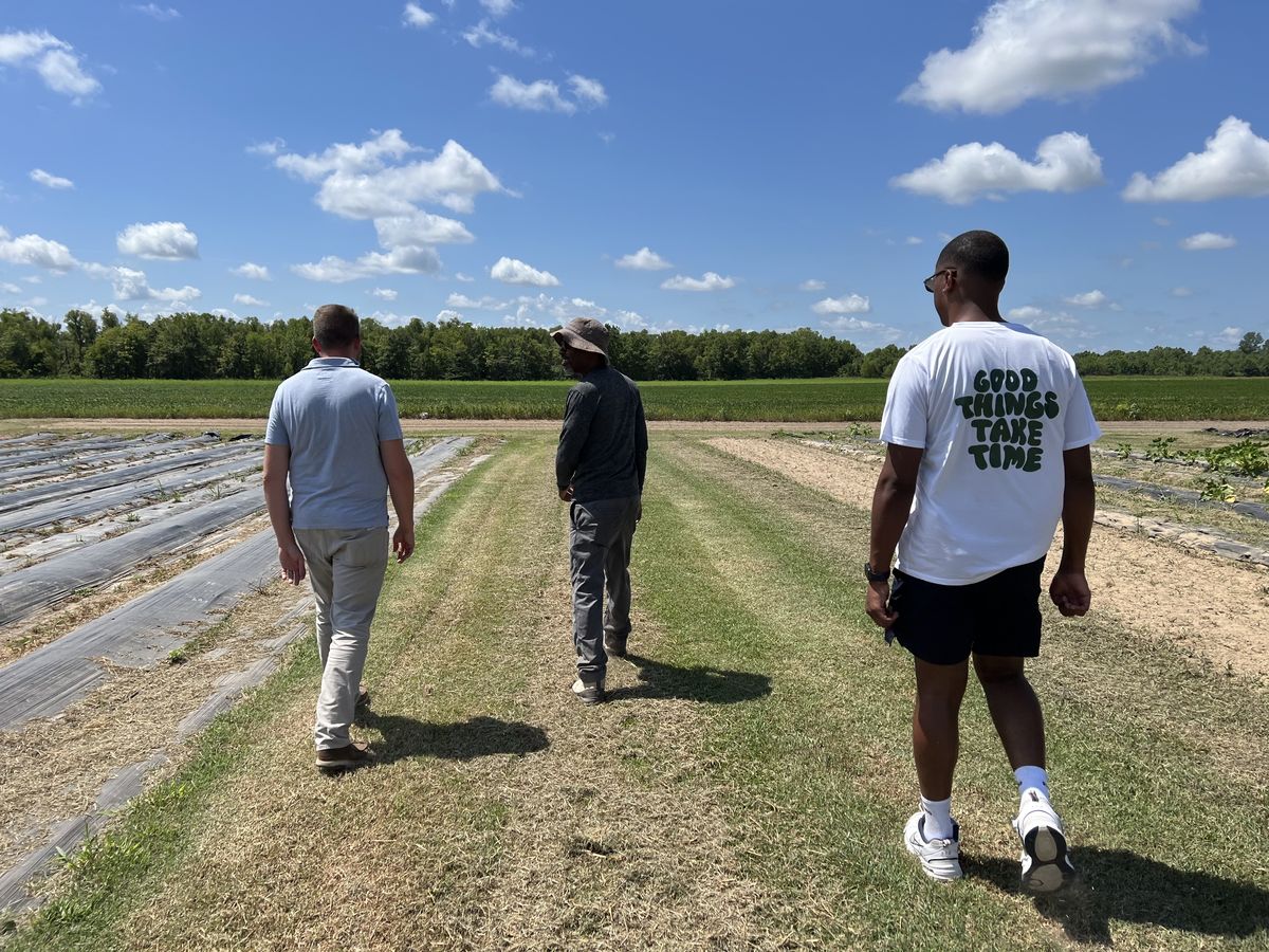 Stakeholders in the MS Delta