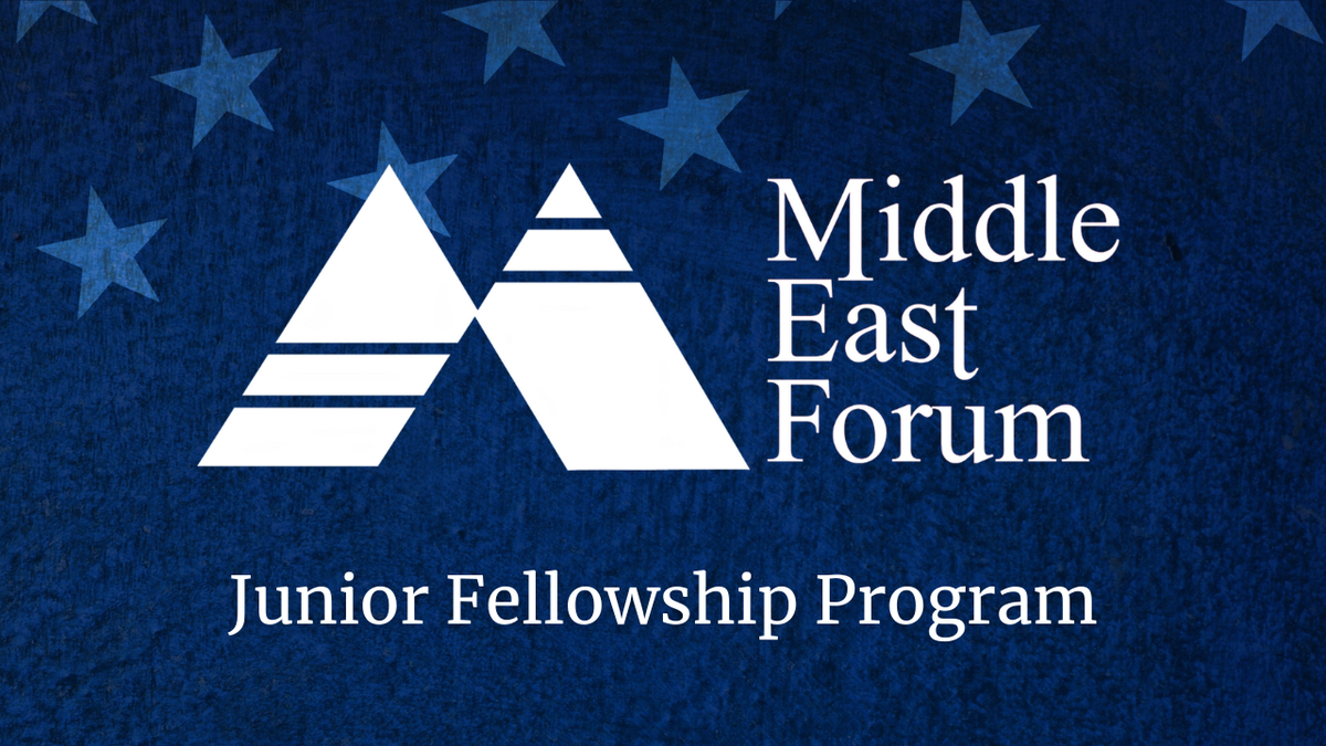 MEF Junior Fellows