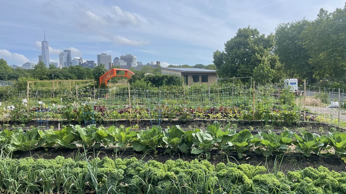 Chicago looks to improve its yard waste composting - Axios Chicago