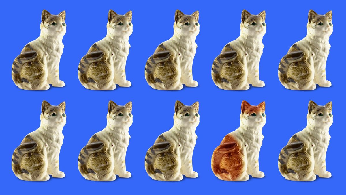 An illustration of a number of similar-looking and one different cat
