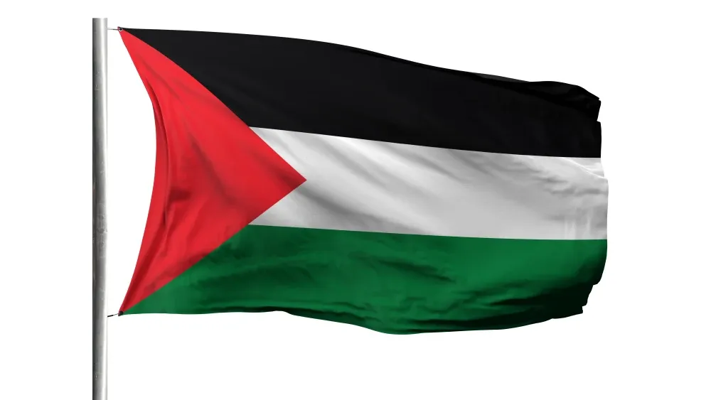 Palestine flag