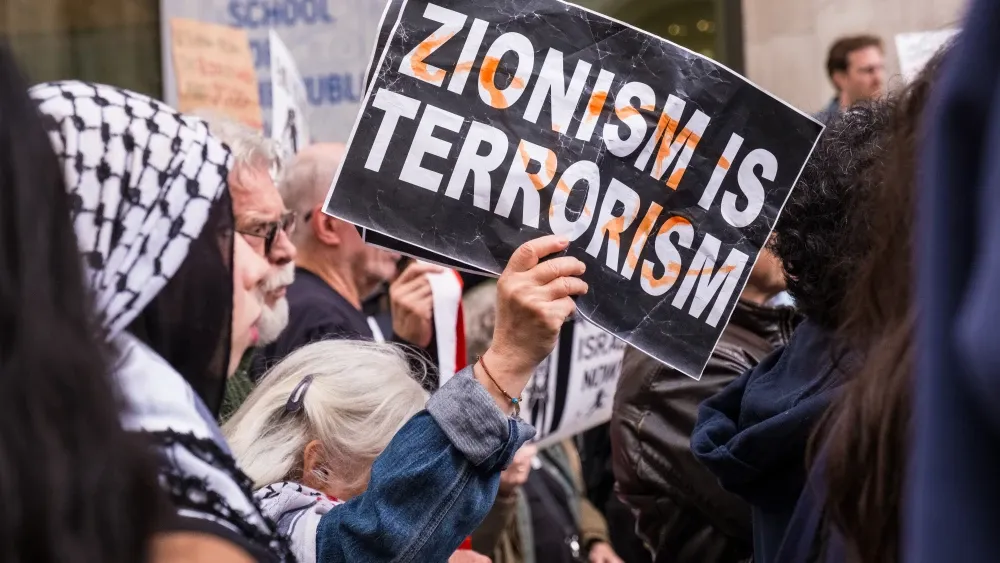 Palestine protestor