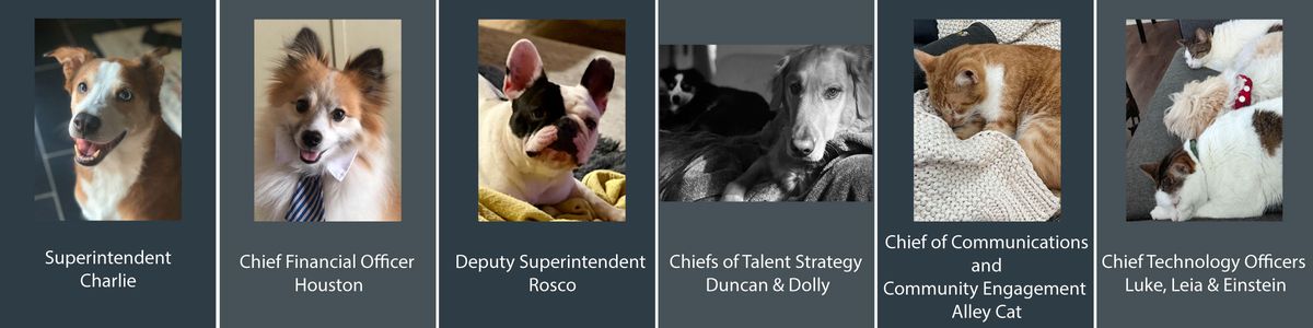 Images of Executive Leadership's pets: Superintendent Charlie, Chief Financial Officer Houston, Deputy Superintendent Rosco, Chiefs of Talent Strategy Duncan and Dolly, Chief of Communications and Community Engagement Alley Cat, Chief Technology Officers Luke, Leia and Einstein
