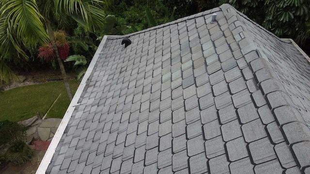 a gray shingle roof with trees in the background