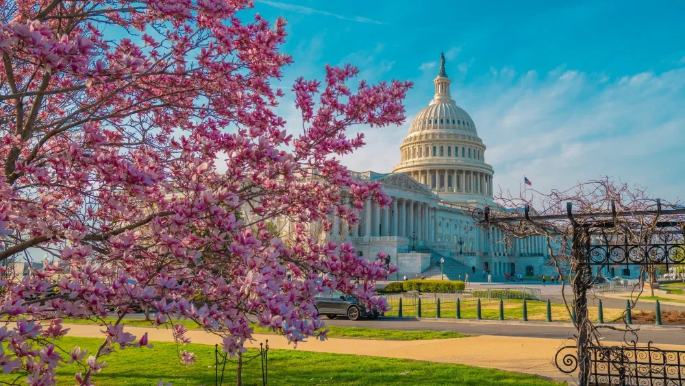 Amid surging gas and food prices, the Pentagon has requested $200 billion to replenish ammunition and fund operations critical to the war effort in Iran. Yet, bombs and bullets alone will never defeat...