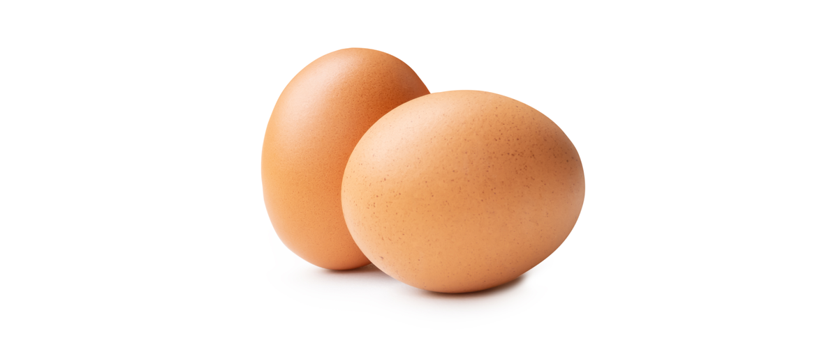 Chicken egg