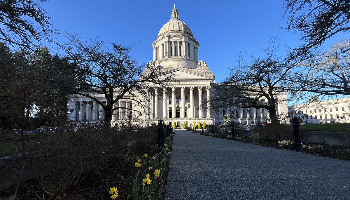 WA Leg Daffodils