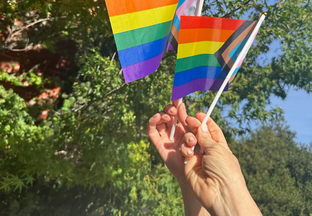 Two hands holding Pride flags