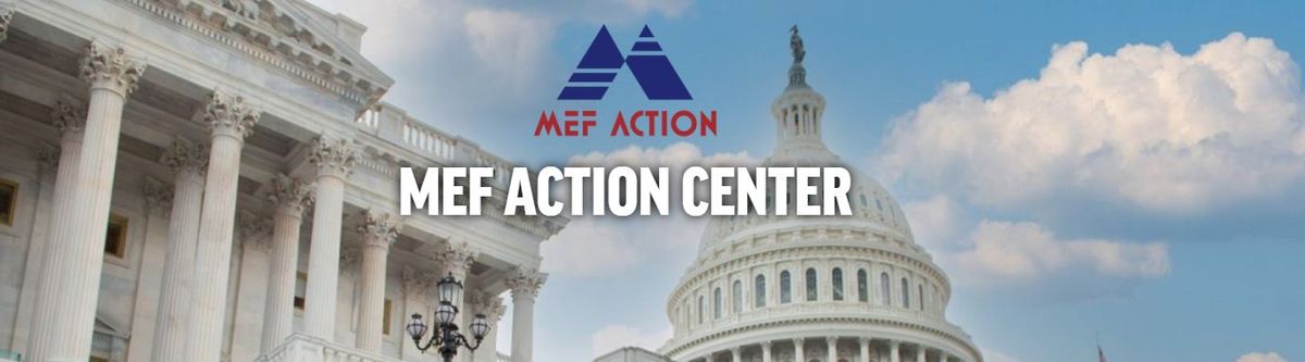 MEF Action