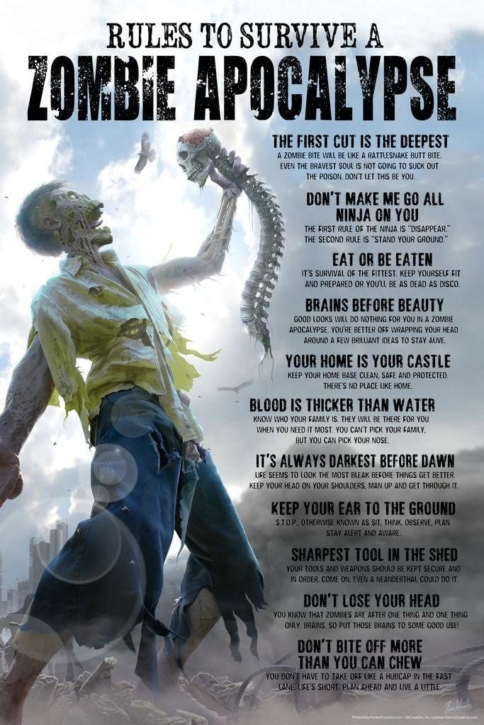 Zombie rules of survival poster