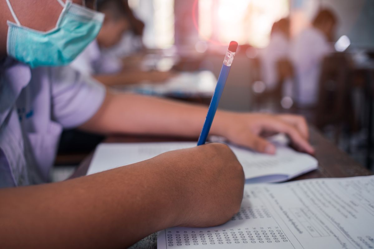 Students in the class