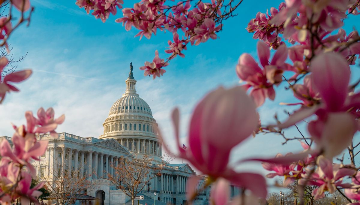 Capitol Hill.