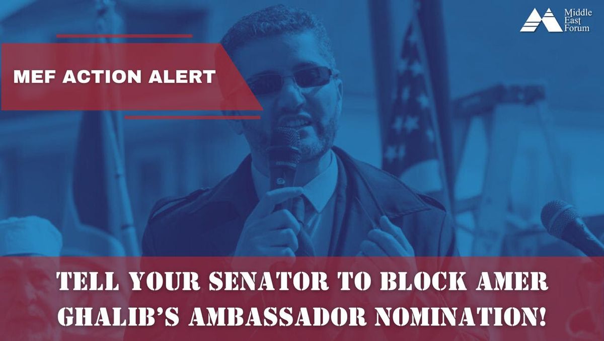 Tell your senator to block Amer Ghalib's ambassador nomication!