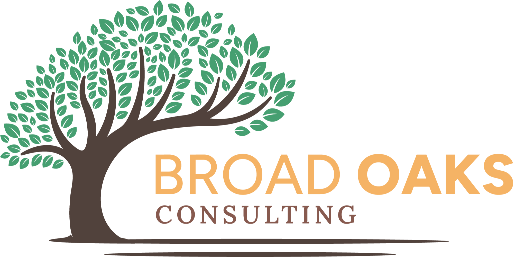 Broad Oaks Consulting Logo