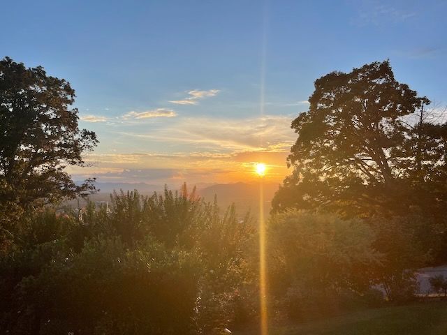 The sun setting over the mountains between two trees with bushes in the foreground and two large trees on each side of the picture.