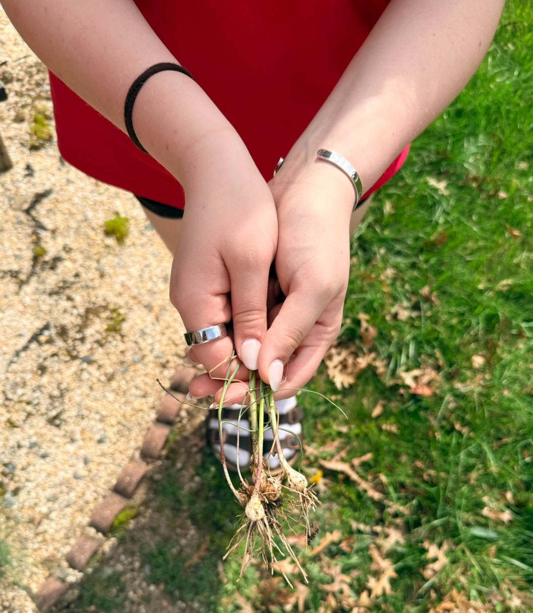 RHS Spring Garden Work